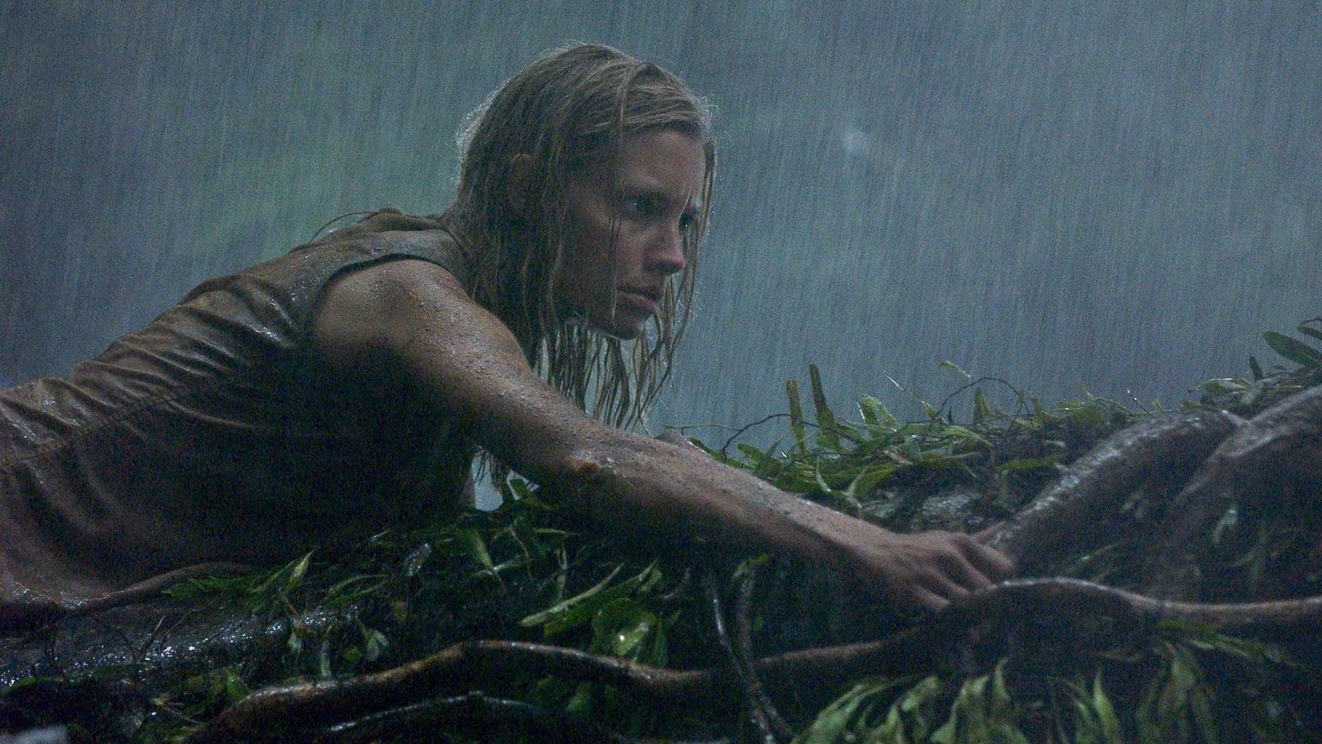 Pano de fundo do filme Anaconda 2: A Caçada pela Orquídea Sangrenta