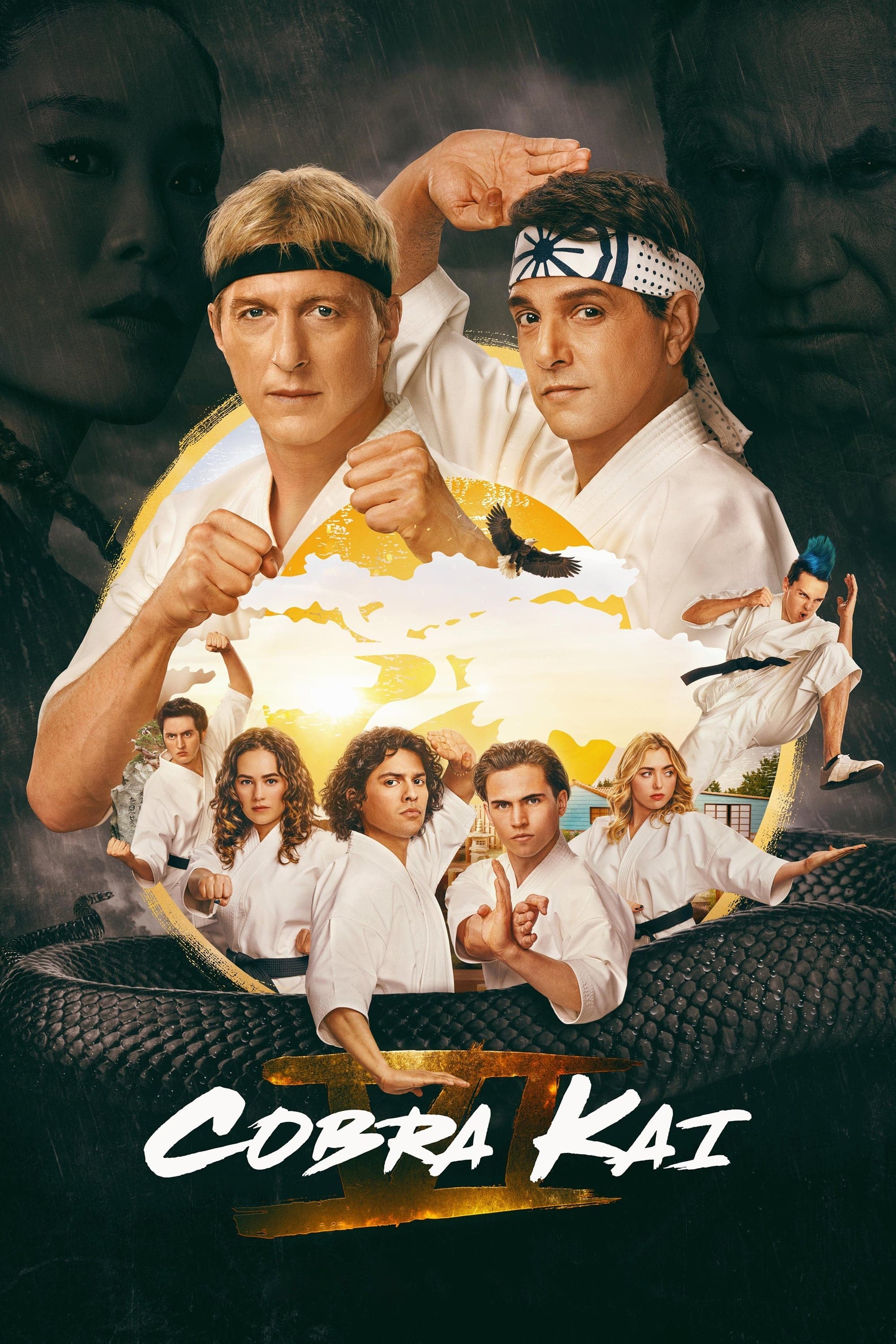 Poster do filme Cobra Kai