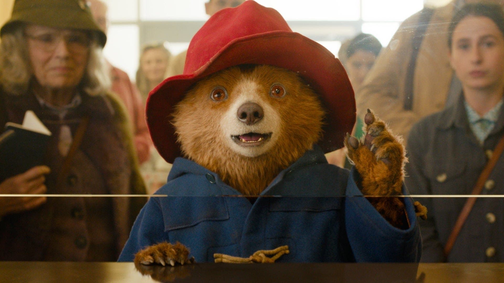 Pano de fundo do filme Paddington: Uma Aventura na Floresta