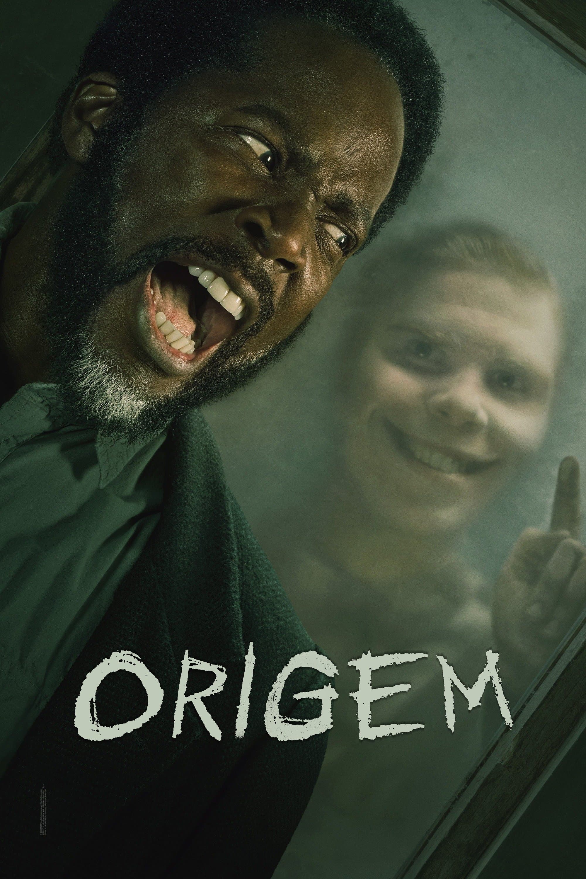 Poster do filme Origem