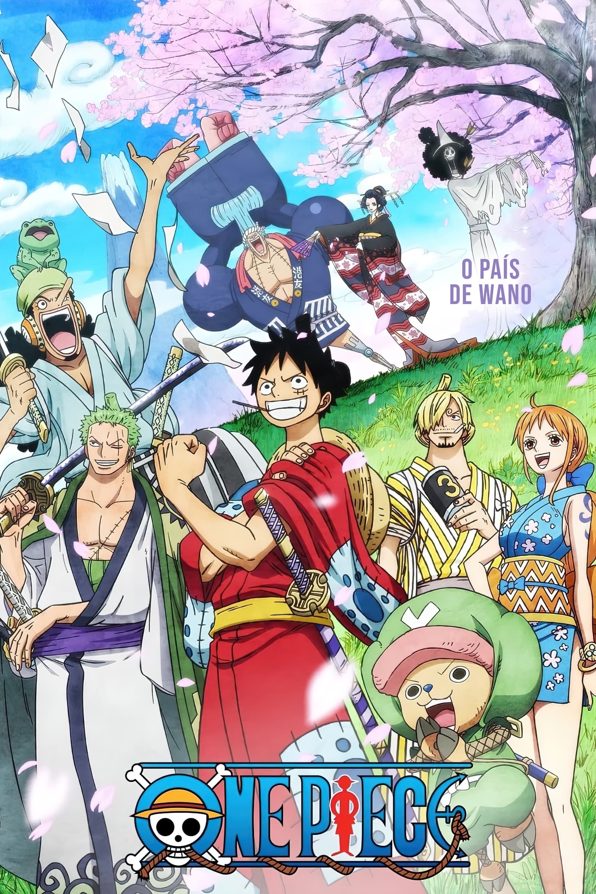 Poster do filme One Piece