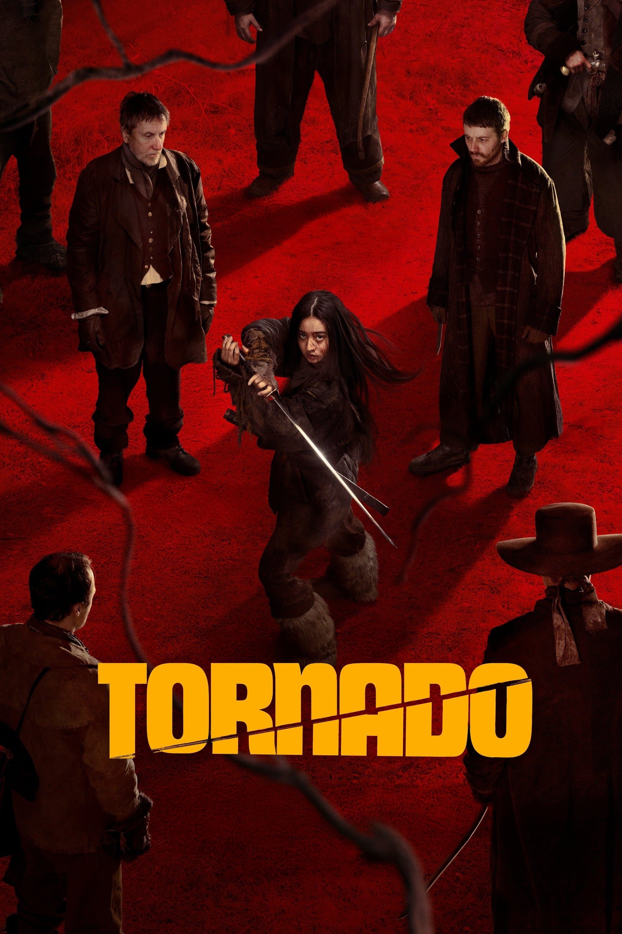 Poster do filme Tornado