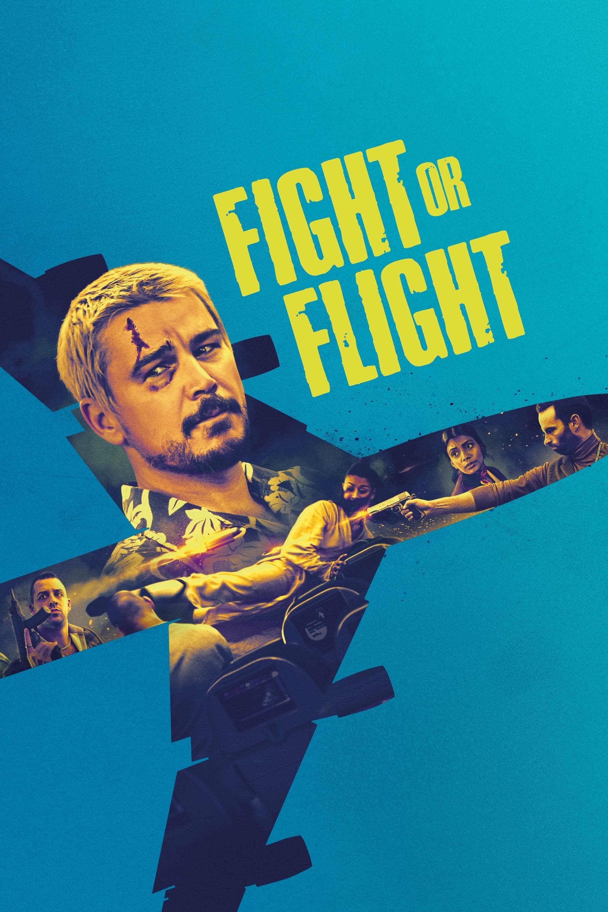 Poster do filme Fight or Flight